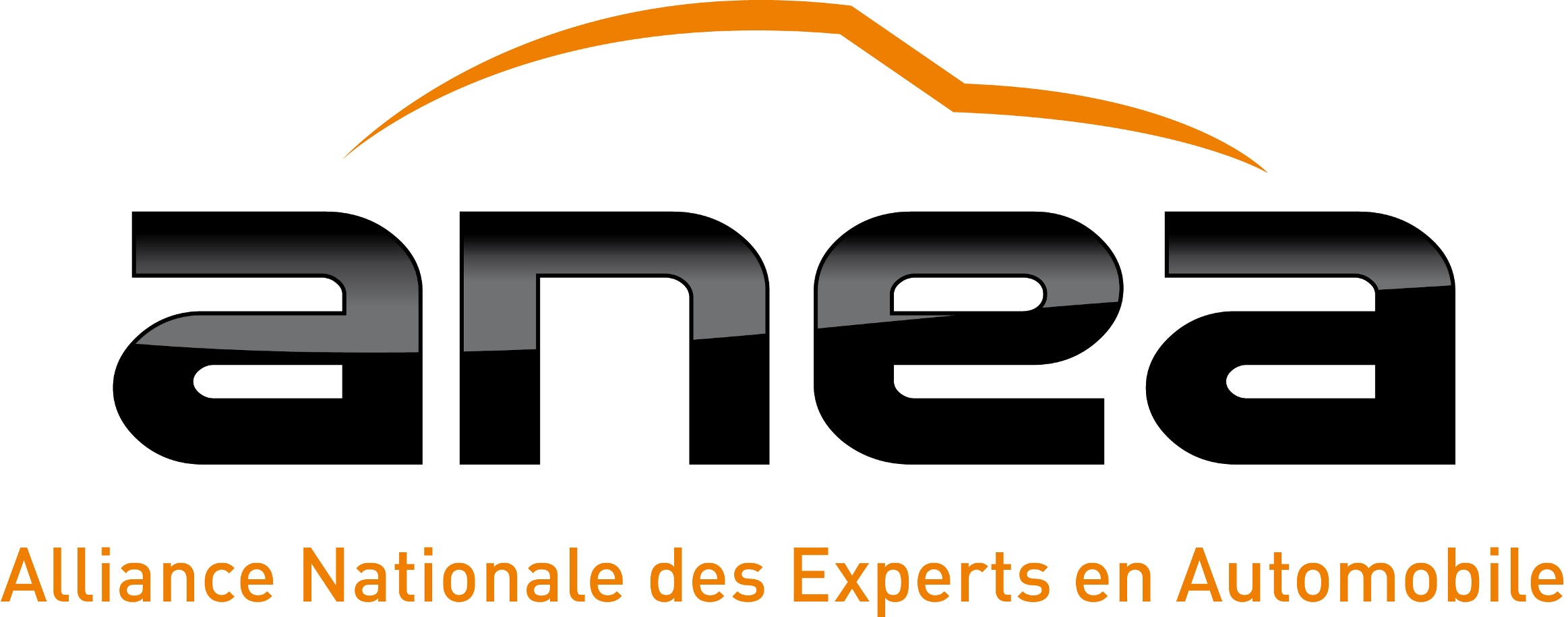 logo anea